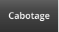 Cabotage