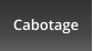 Cabotage