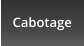 Cabotage